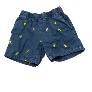 Hanna Andersson Embroidered Elastic Waist Shorts SIze 12